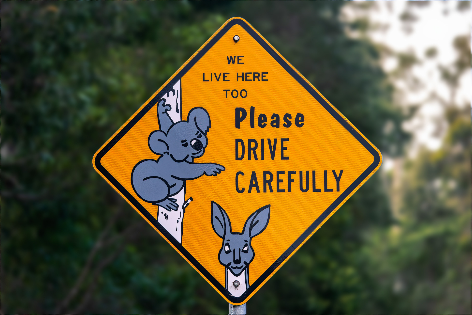 Verkehrsschild in der Umgebung von Lake MacDonald